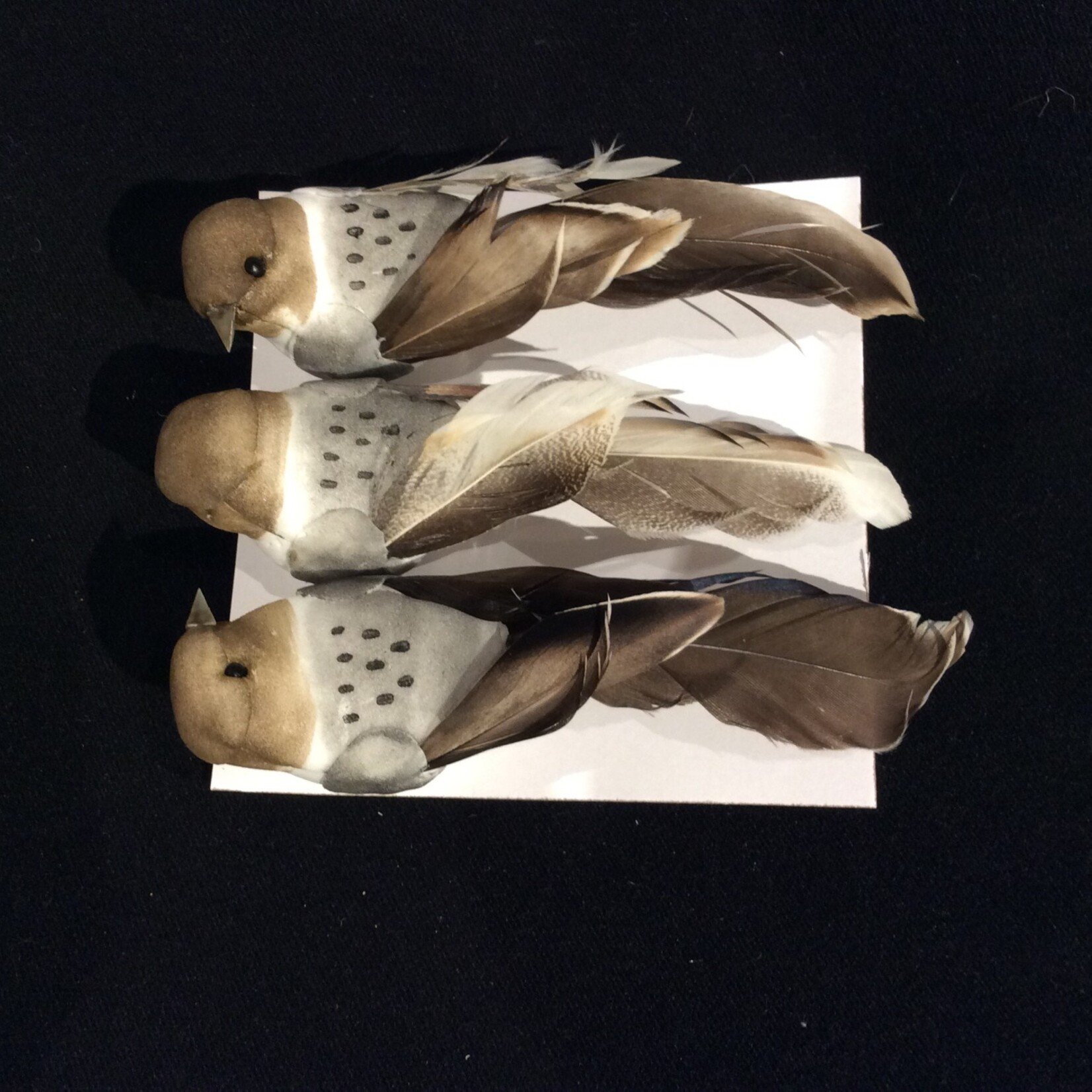 Clip-On Bird (Pk of 3)