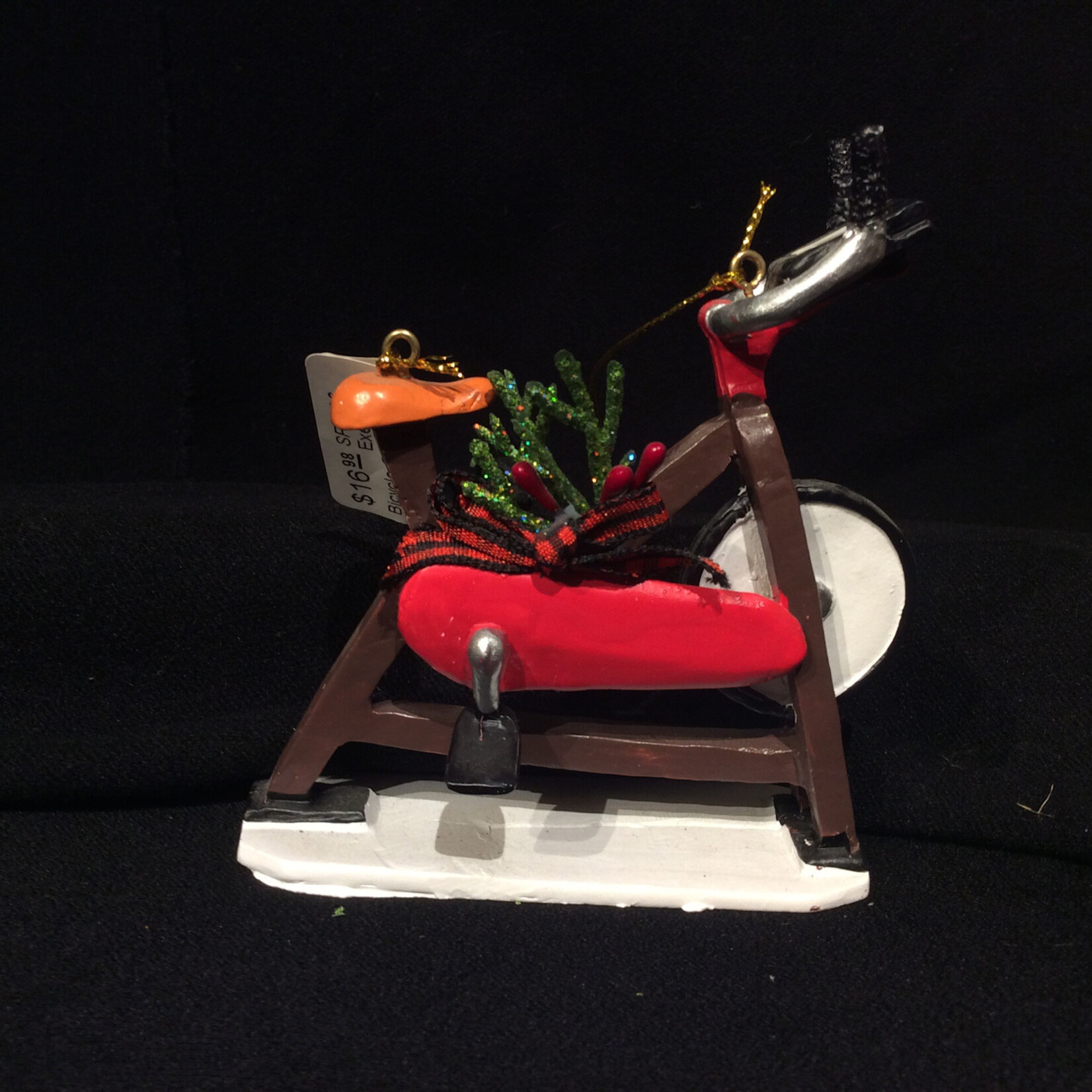 Exercise Bicycle Orn