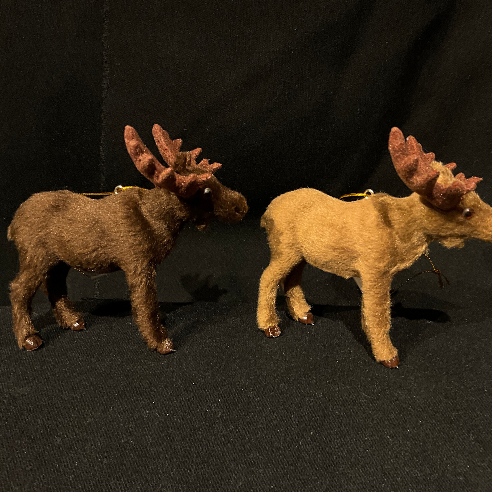 Furry Moose Orn 2A