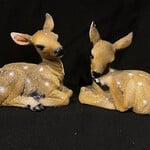 **Laying Fawn 2A