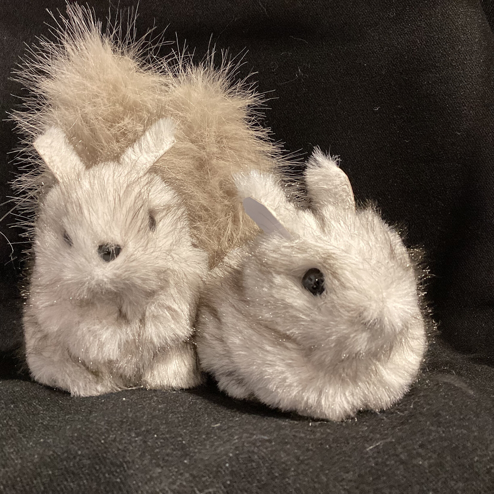 **5" Grey Squirrel Orn 2A