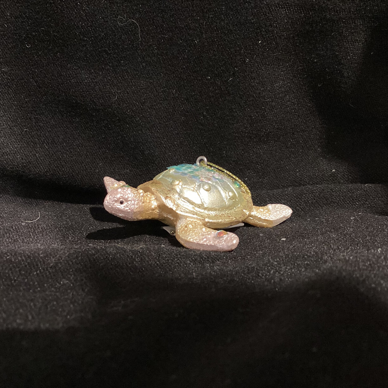 Painted Turtle Orn