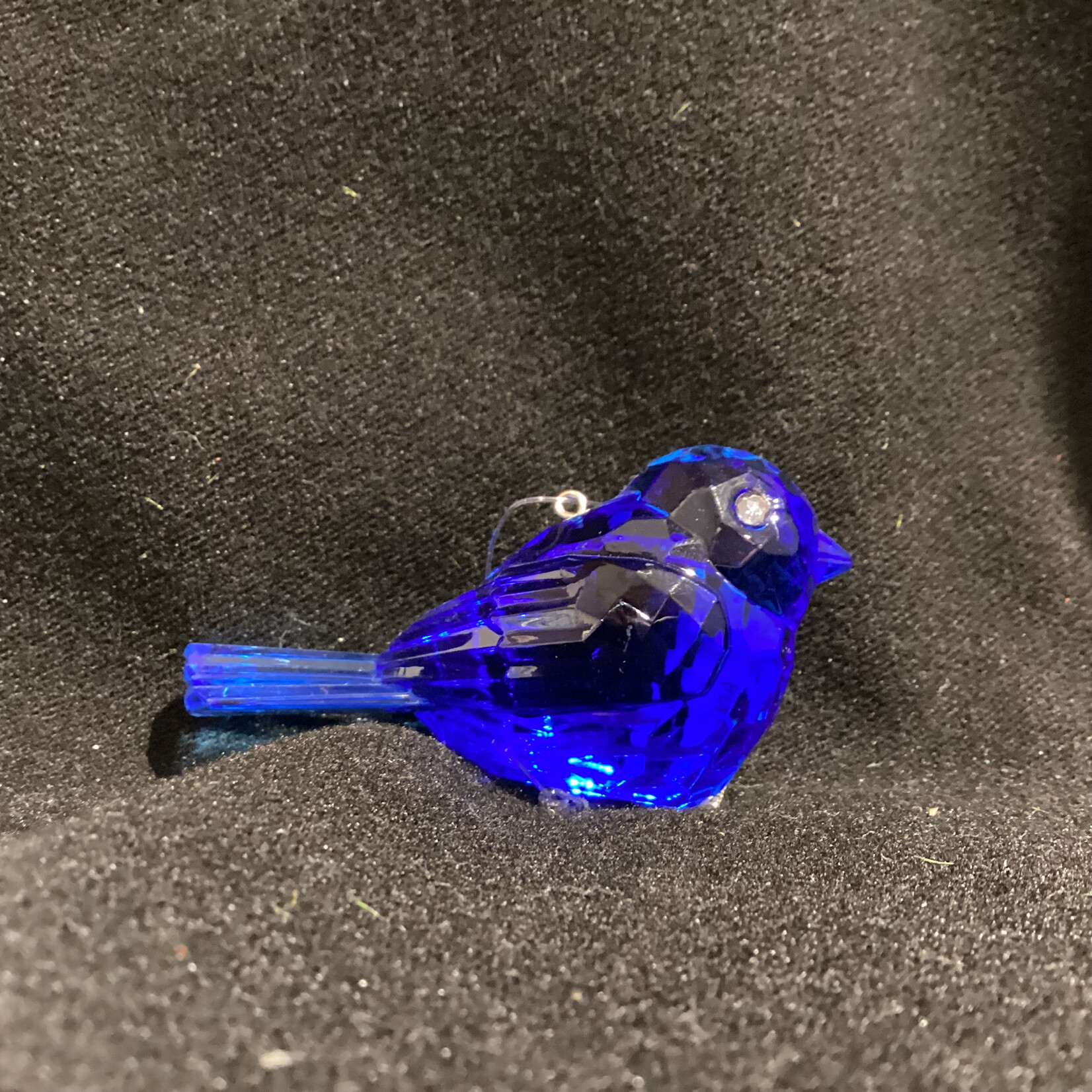Little Blue Bird