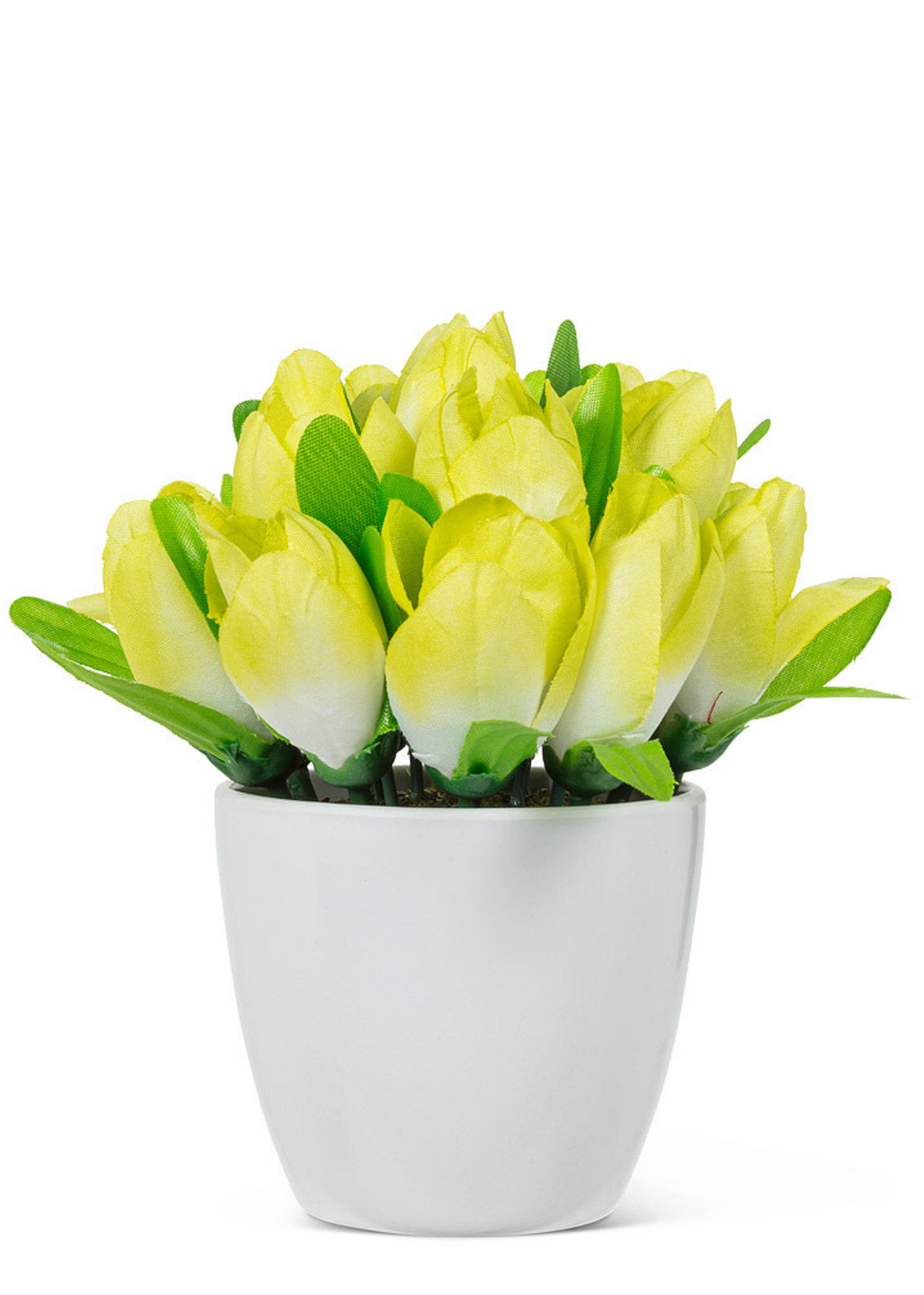 *6" Yellow Tulip Heads In Pot-Abbott