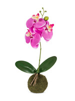 *15" Purple Orchid w/Grass Ball-Abbott