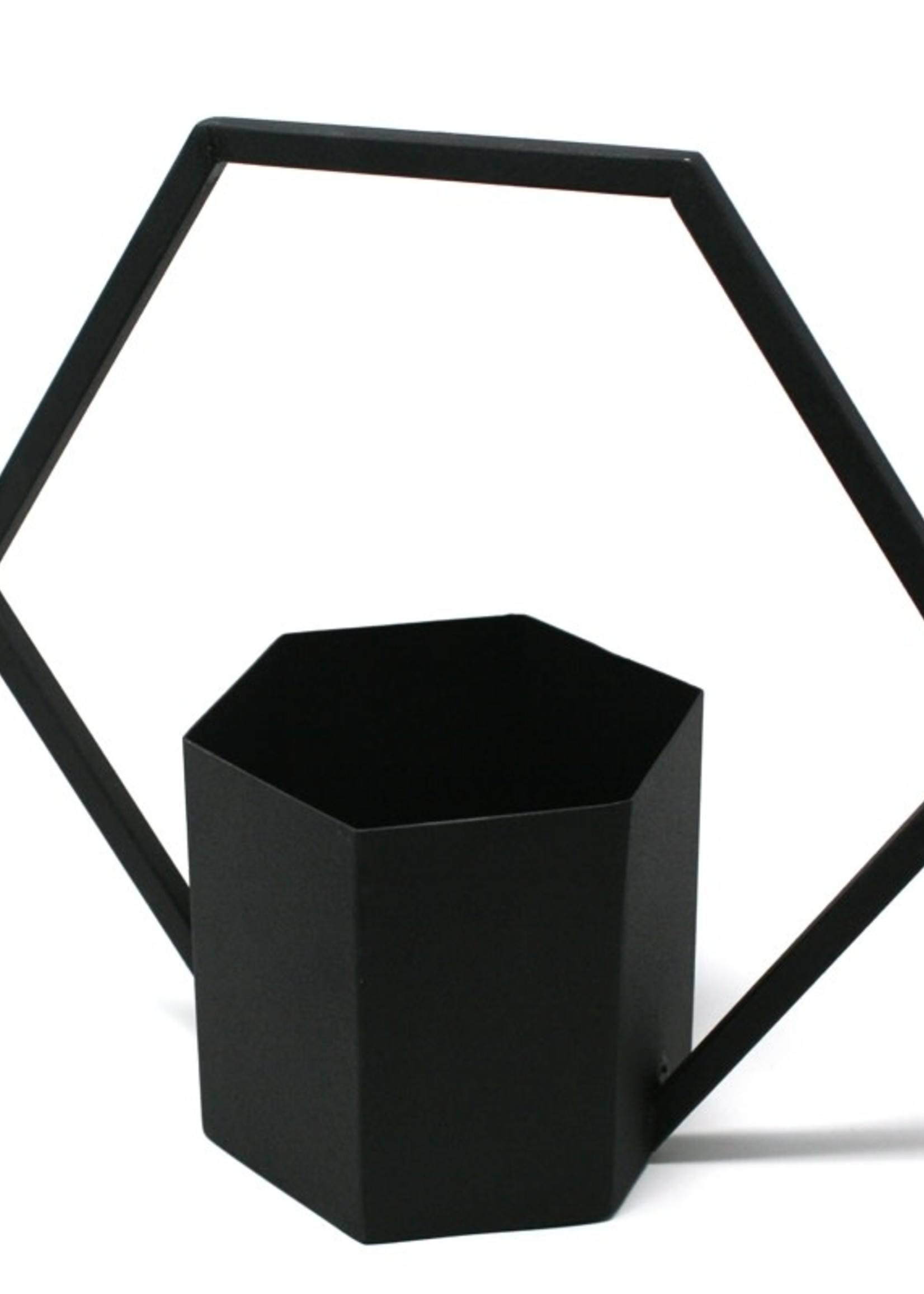 *Black Hanging Planter- Danecso