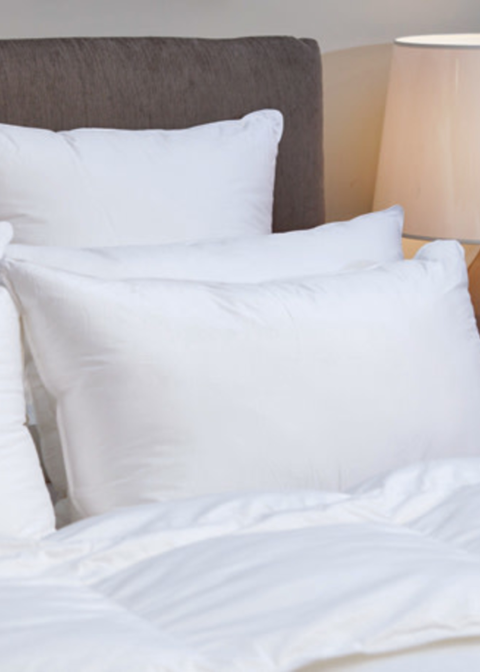 *Qn Suprelle Pillow-Cuddle Down