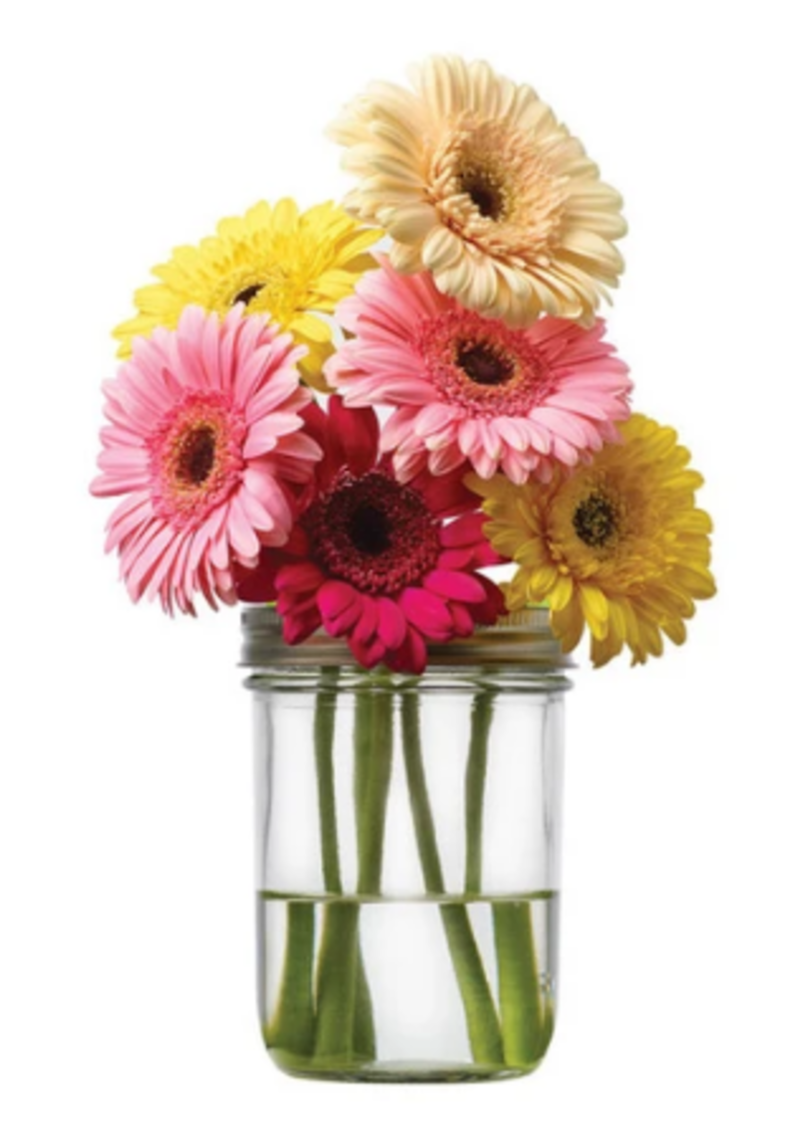 *Vase Top/Grid Jarware-Foxrun