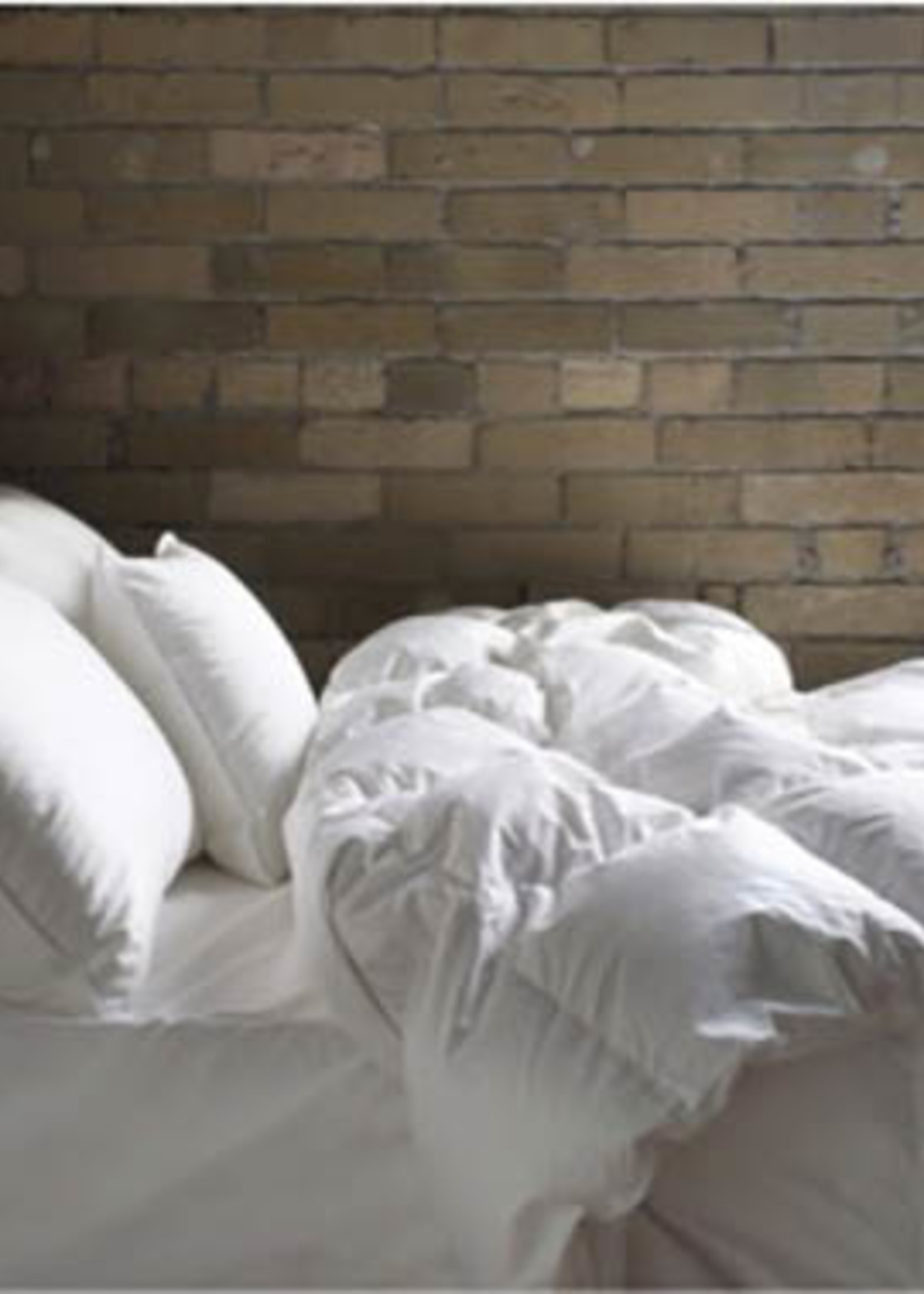 *Qn Aurora Light Weight Duvet- Cuddle Down