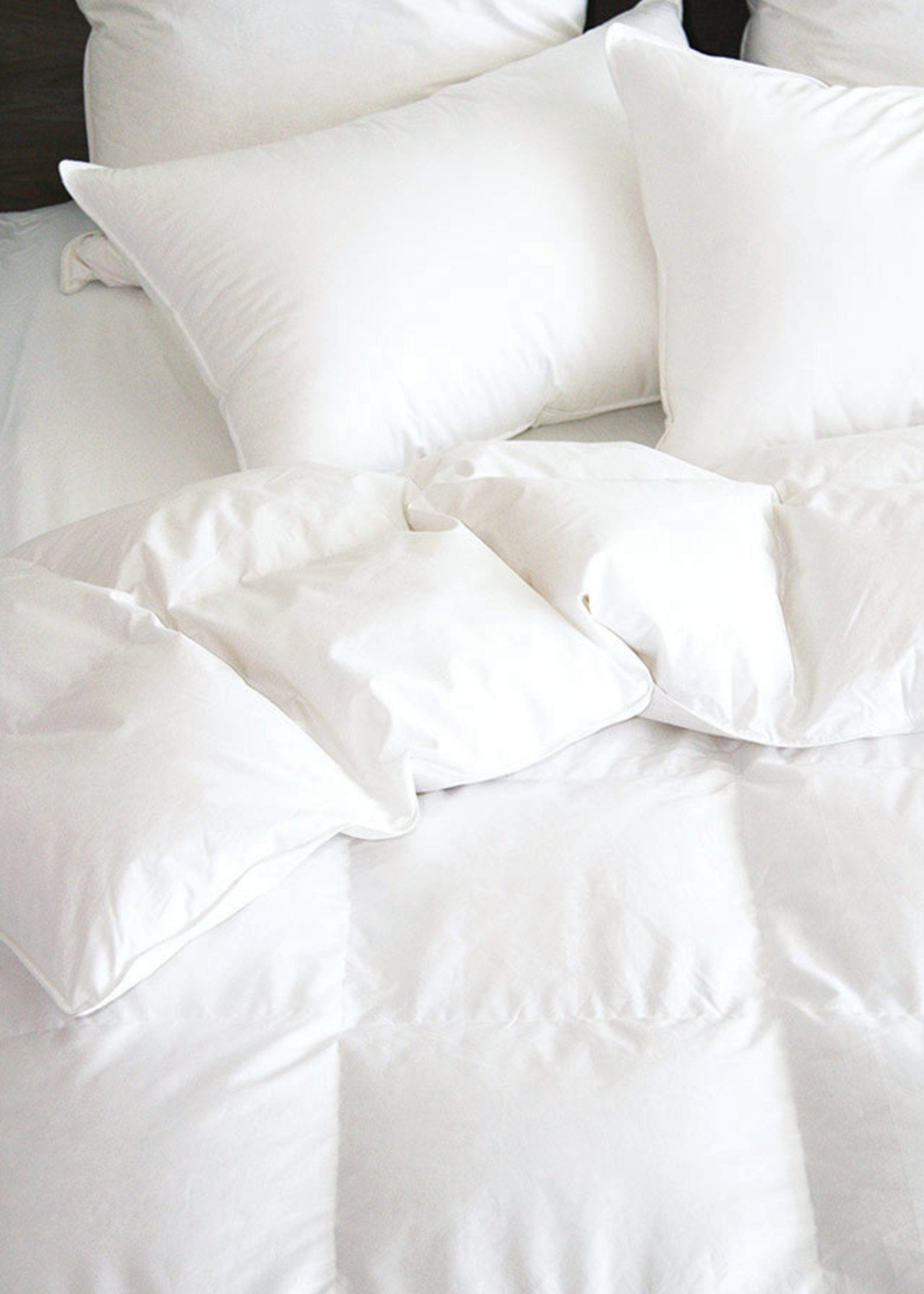 *Qn Brome Down Pillow- Cuddle Down