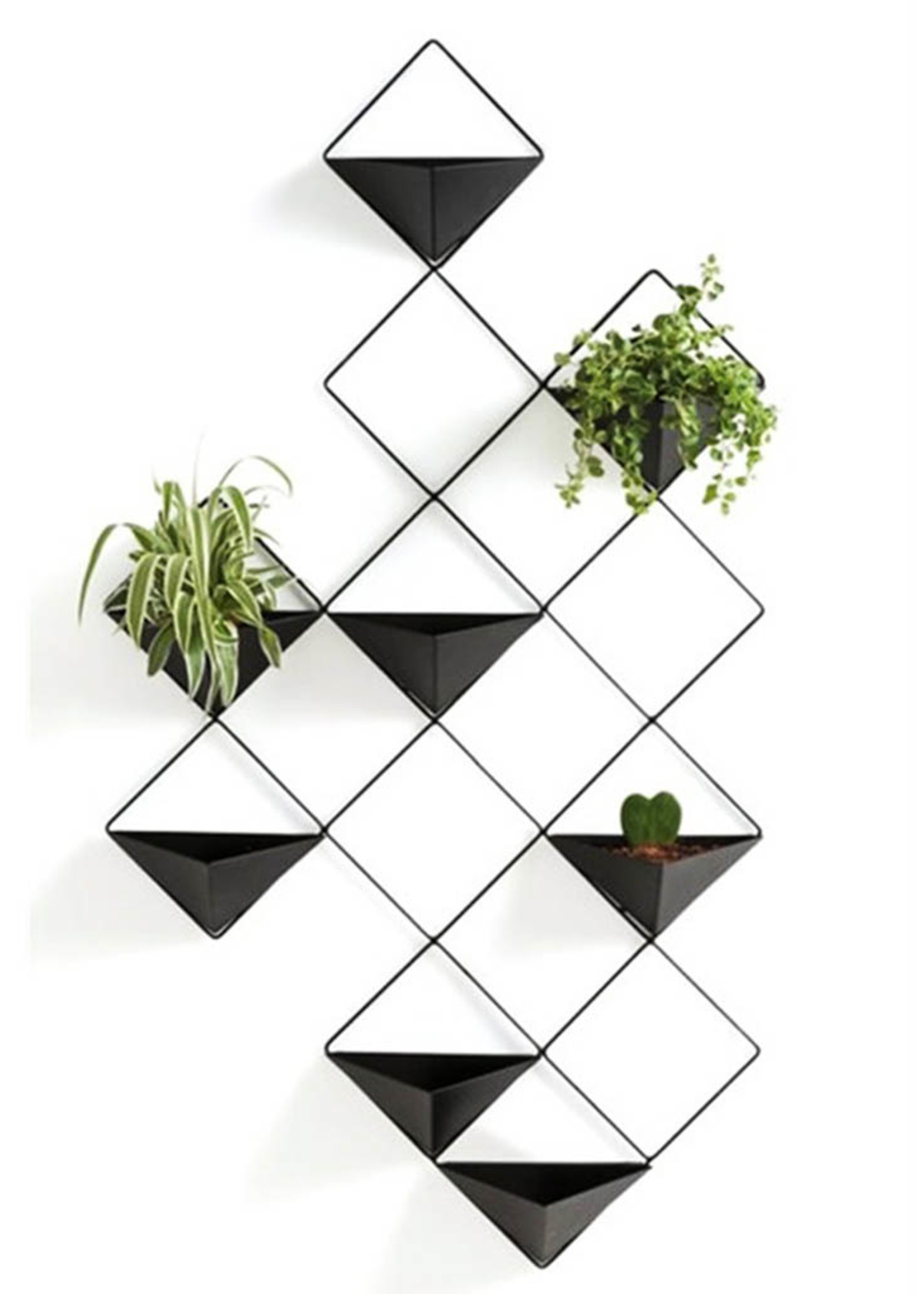 *8Pot Metal Frame Wall Planter-Splash