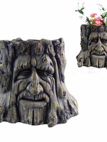 *Old Man Tree Stump Planter-Splash