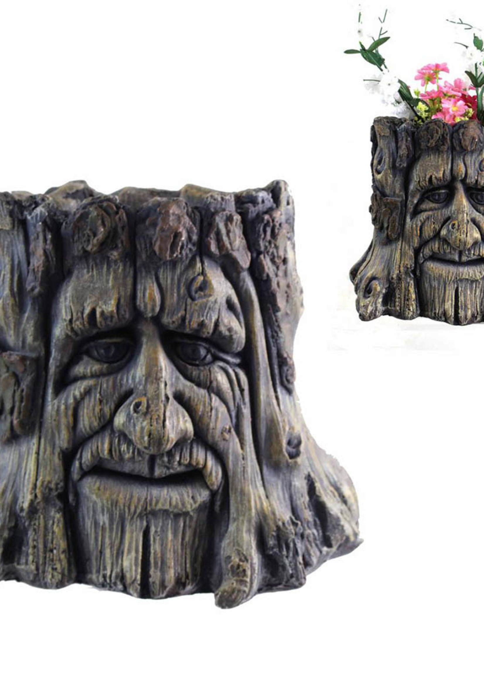 *Old Man Tree Stump Planter-Splash