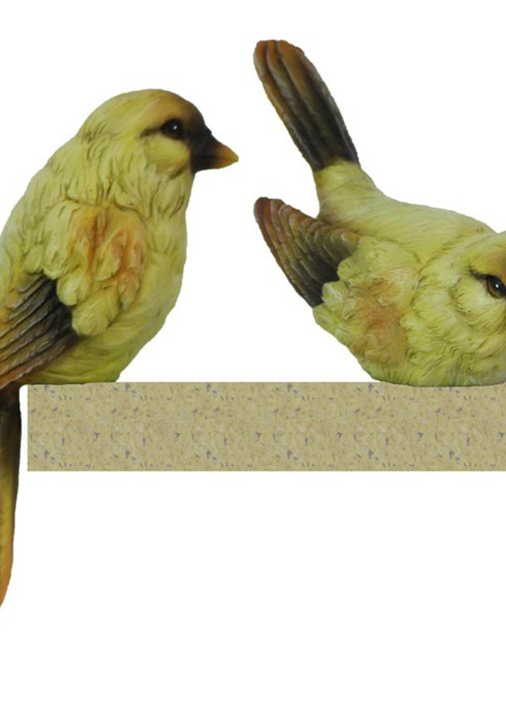 *2pc Yellow Birds-Splash