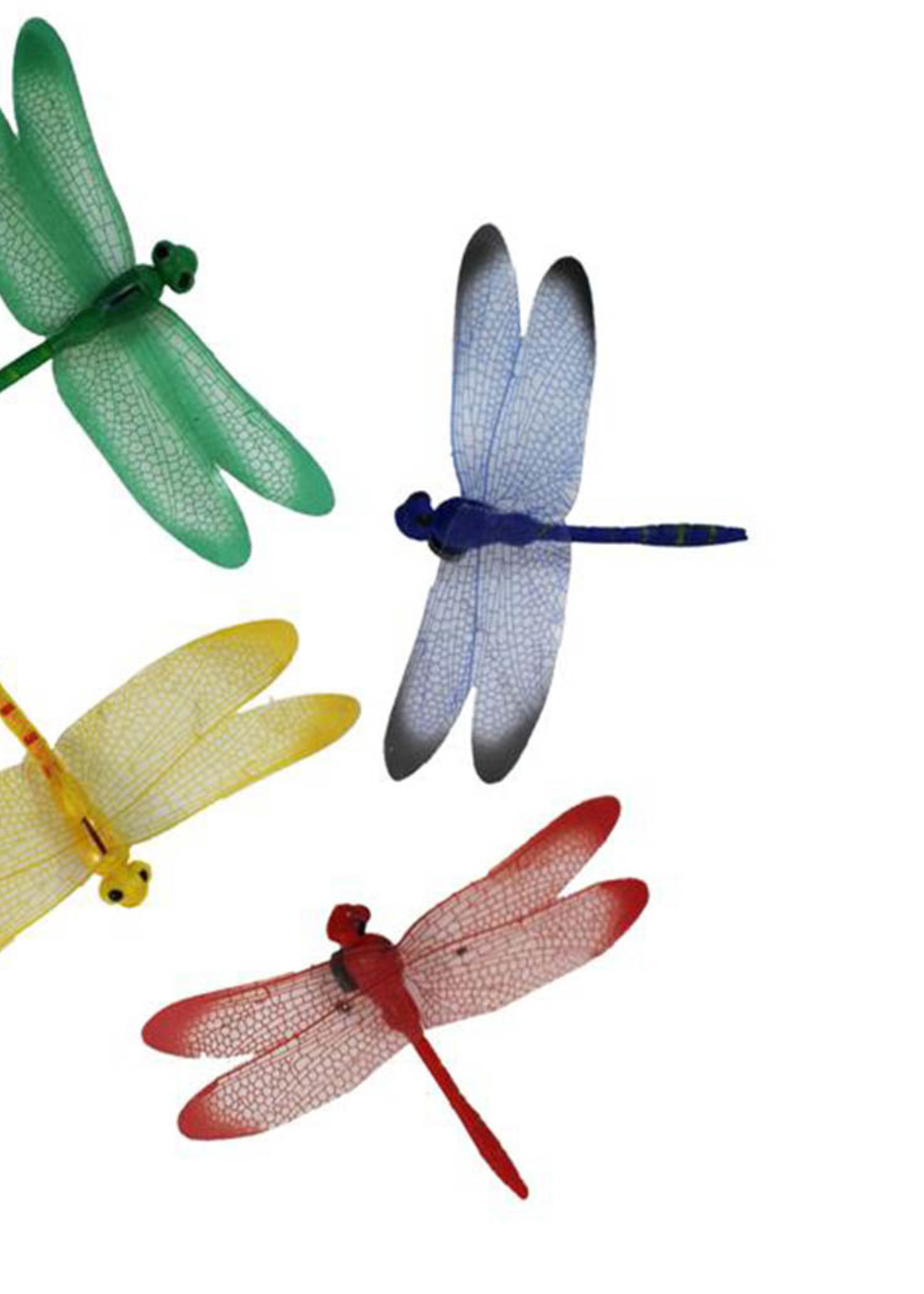 *Dragonfly Magnet-Splash