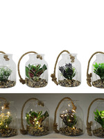 *Hanging Glass Plant Jar w/LED Lights-Splash