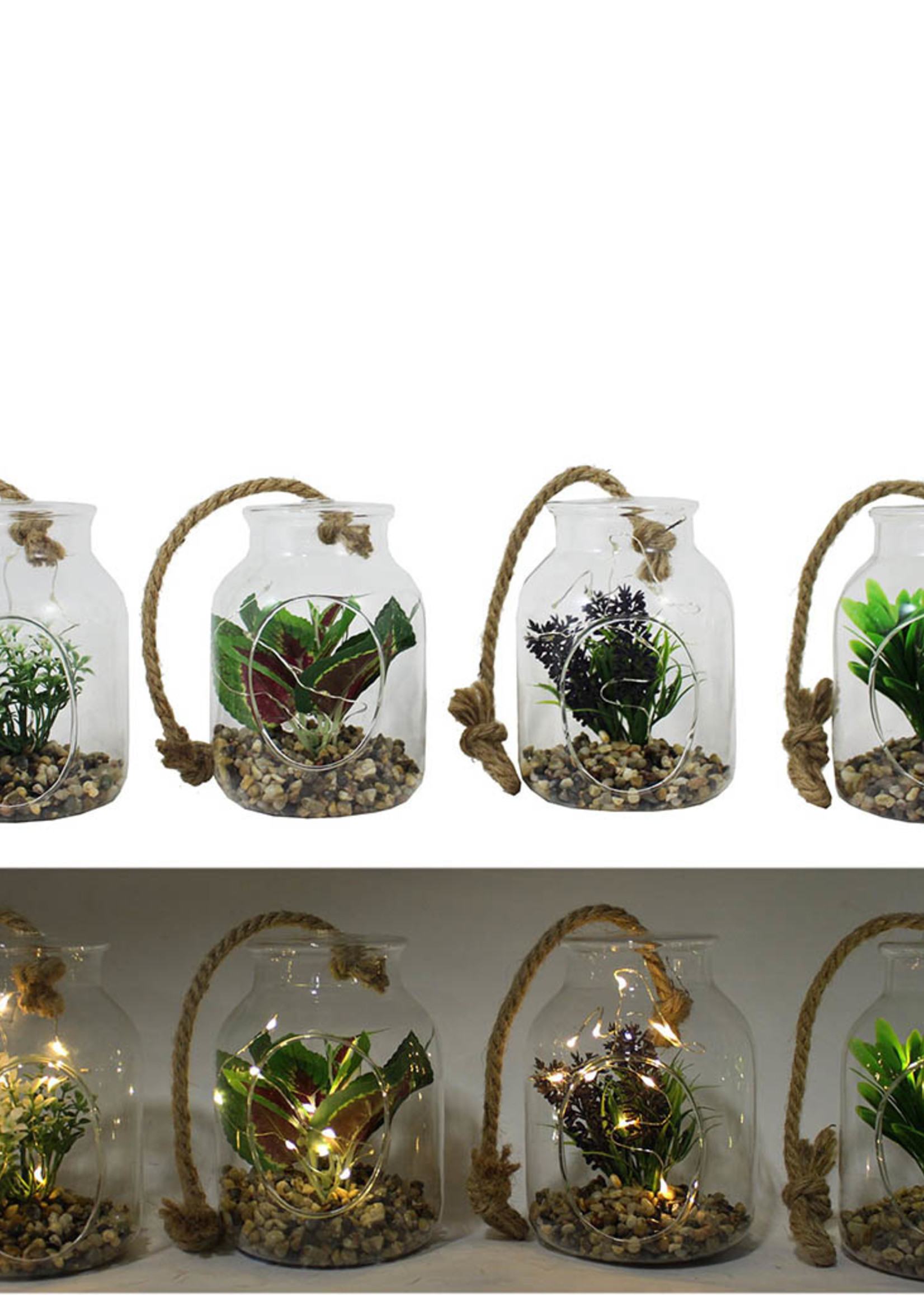 *Hanging Glass Plant Jar w/LED Lights-Splash