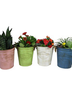 *Lg Asstd Pot w/Rope Handle-Splash