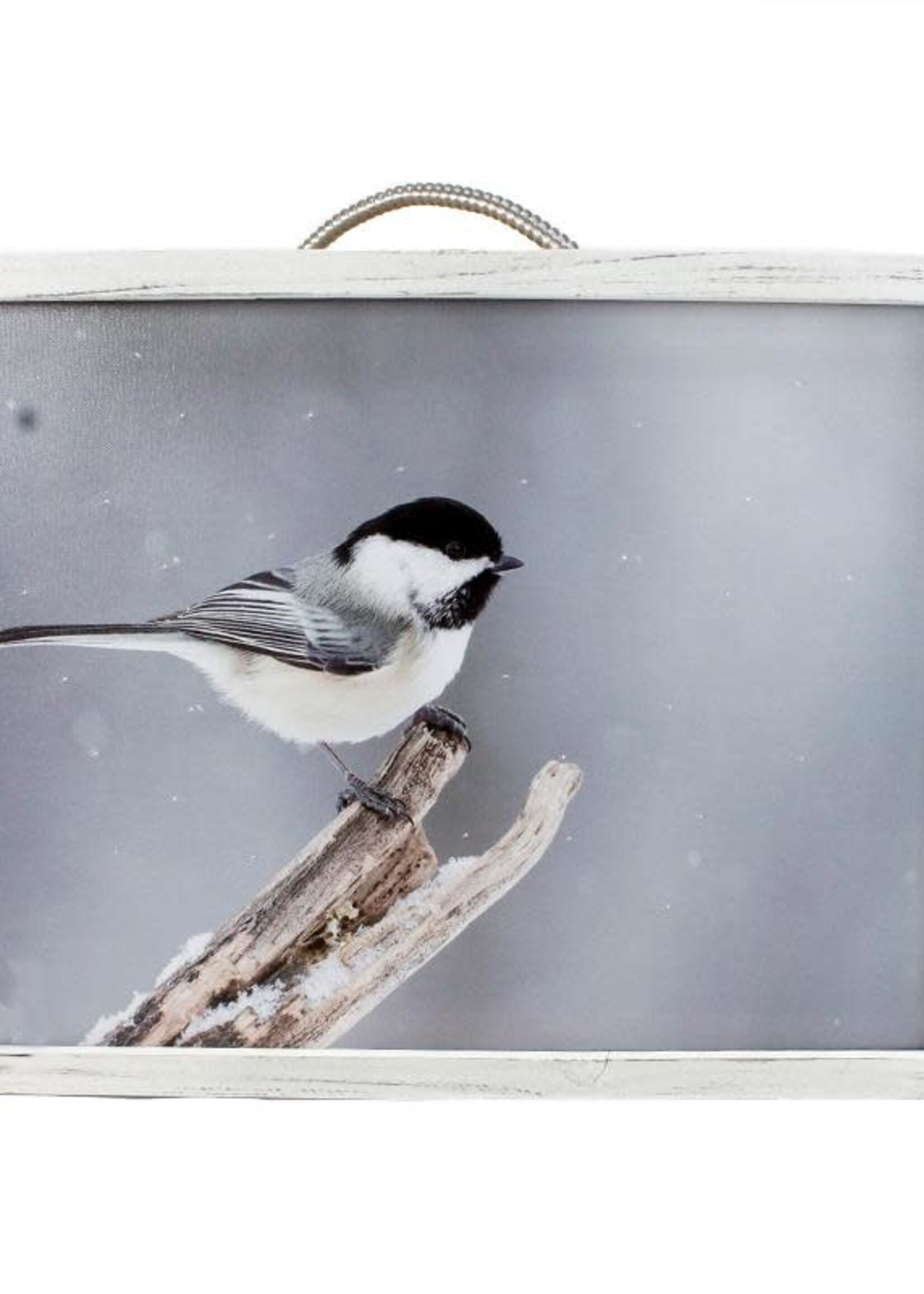 *13x17" Chickadee LED Wall Art-Koppers*