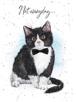 *Chin Up Cat Encouragement Card-Bella Flor