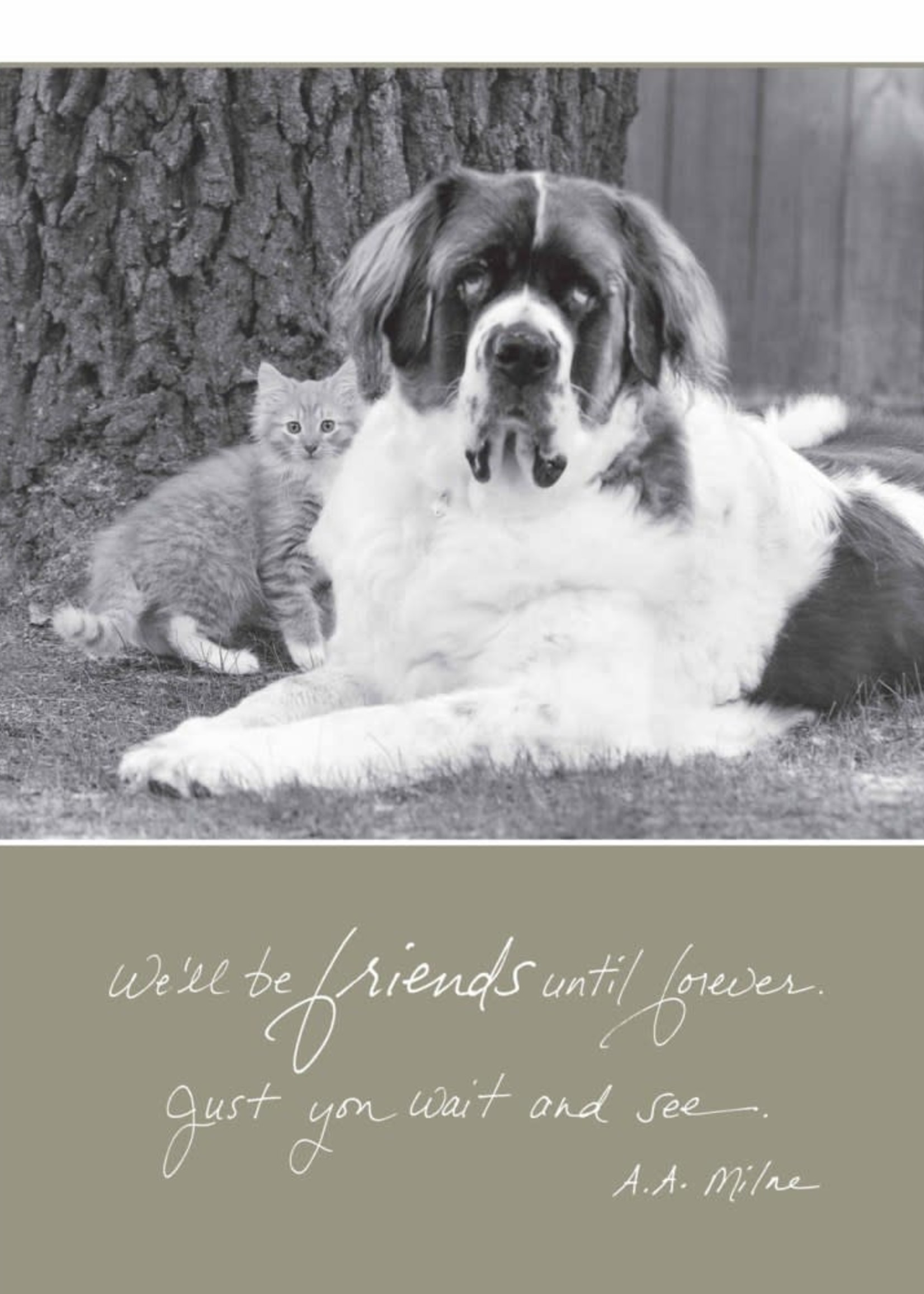 *Dog and Kitten Pet Sympathy Card-Bella Flor