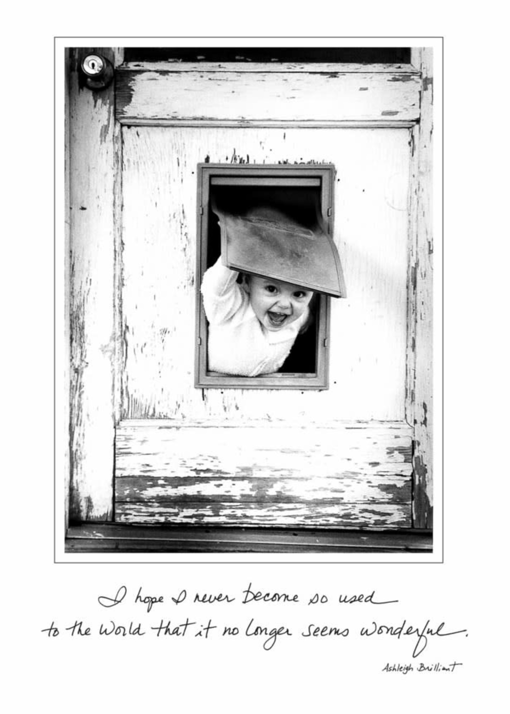 *Baby in Dog Door Birthday Card-Bella Flor