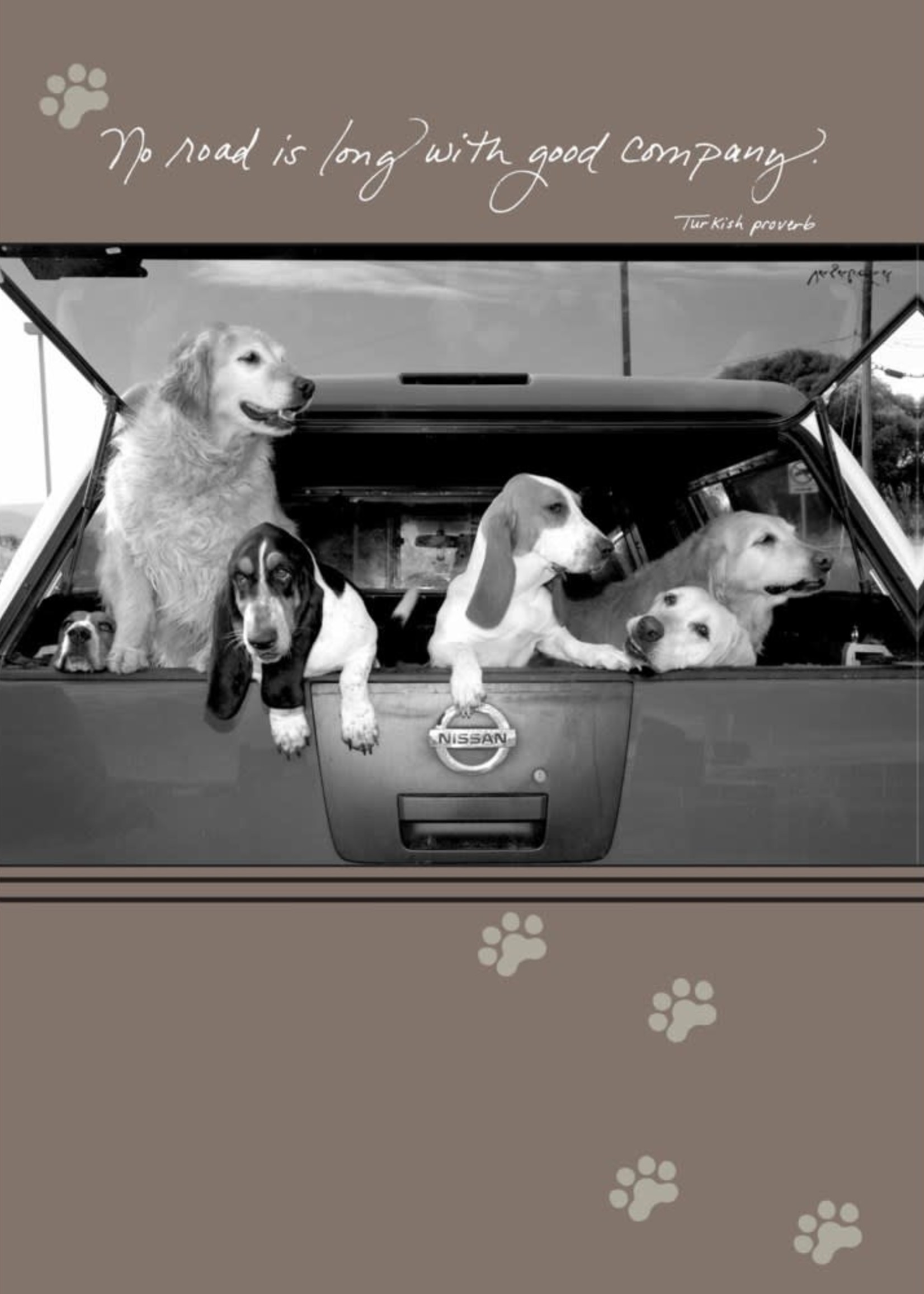*6 Dogs Hanging Out of Car Birthday Card-Bella Flor