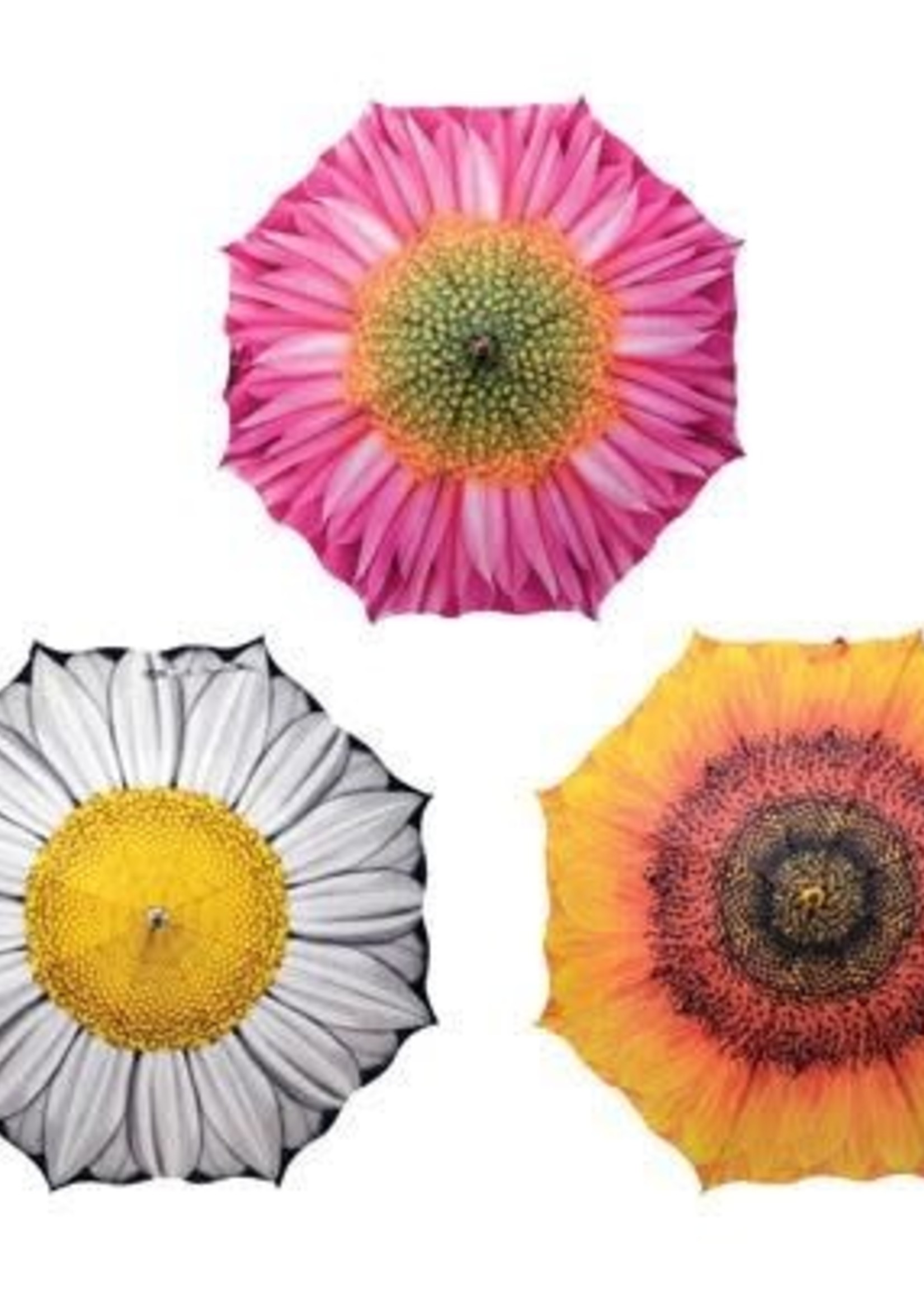 North American Country Home *40" Assorted Flower Umbrellas-NACH