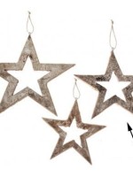 CJ Marketing *10" Birch Star-CJ*