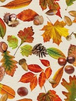 *20pk Autumn Festival Lunch Napkins-Elegant