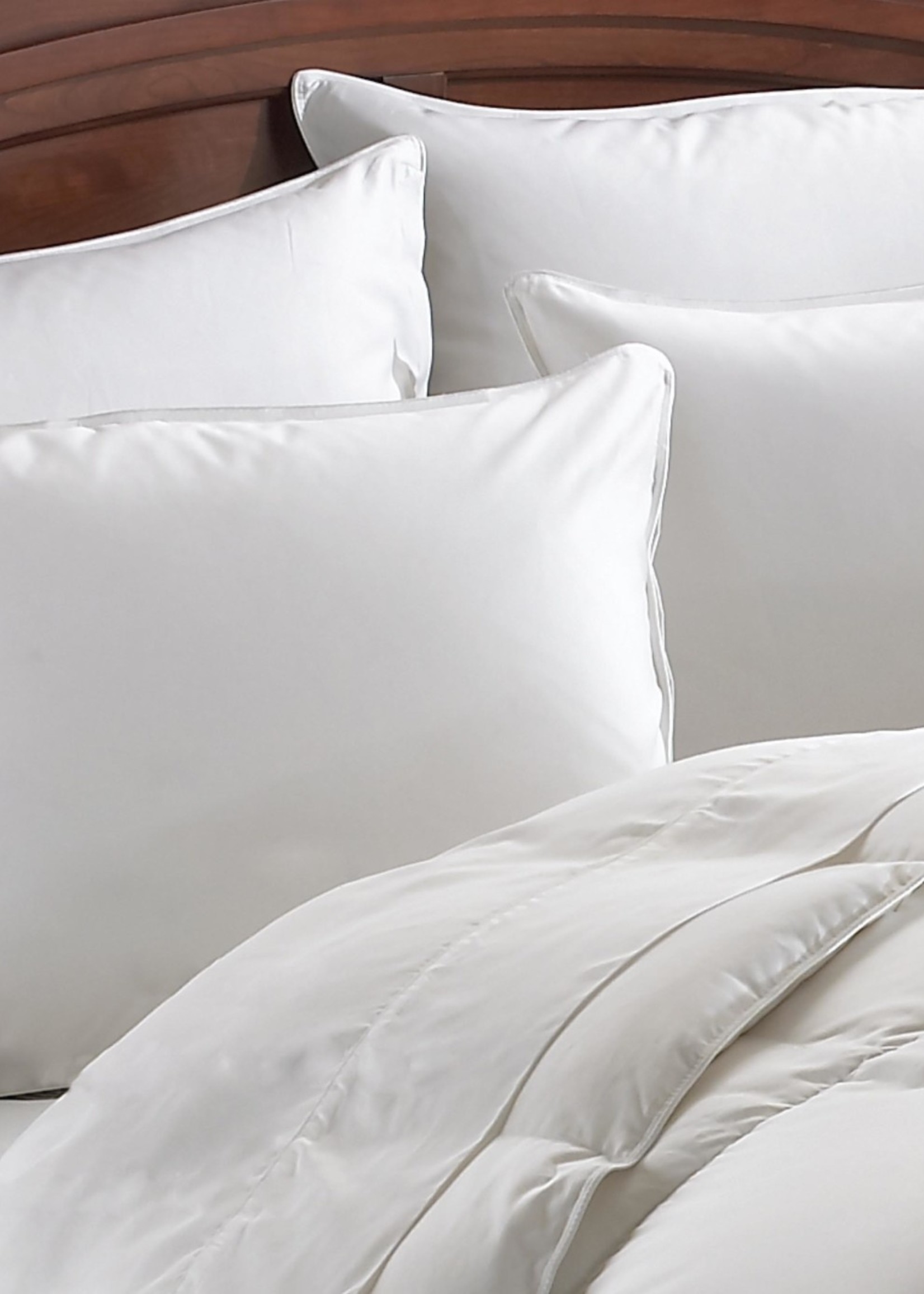Cuddle Down *Std Suprelle Pillow-Cuddle Down