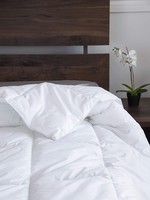 Can't Believe *Qn Synthetic Duvet-Century