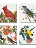 *s/4 Audubon Ceramic Coasters-Edenborough