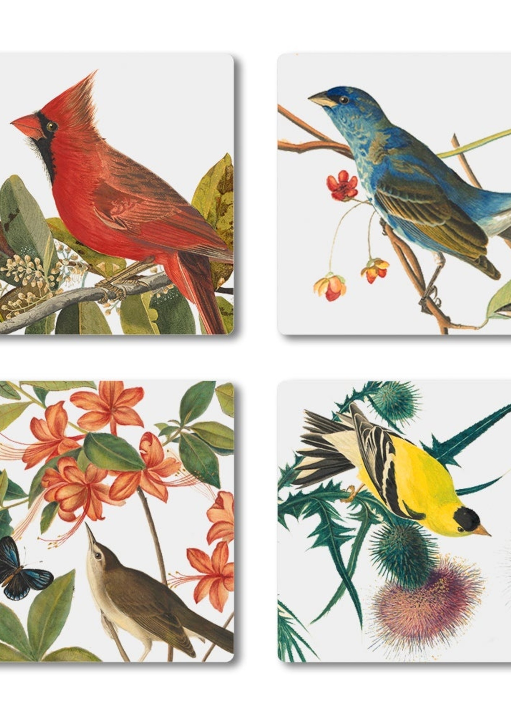 *s/4 Audubon Ceramic Coasters-Edenborough