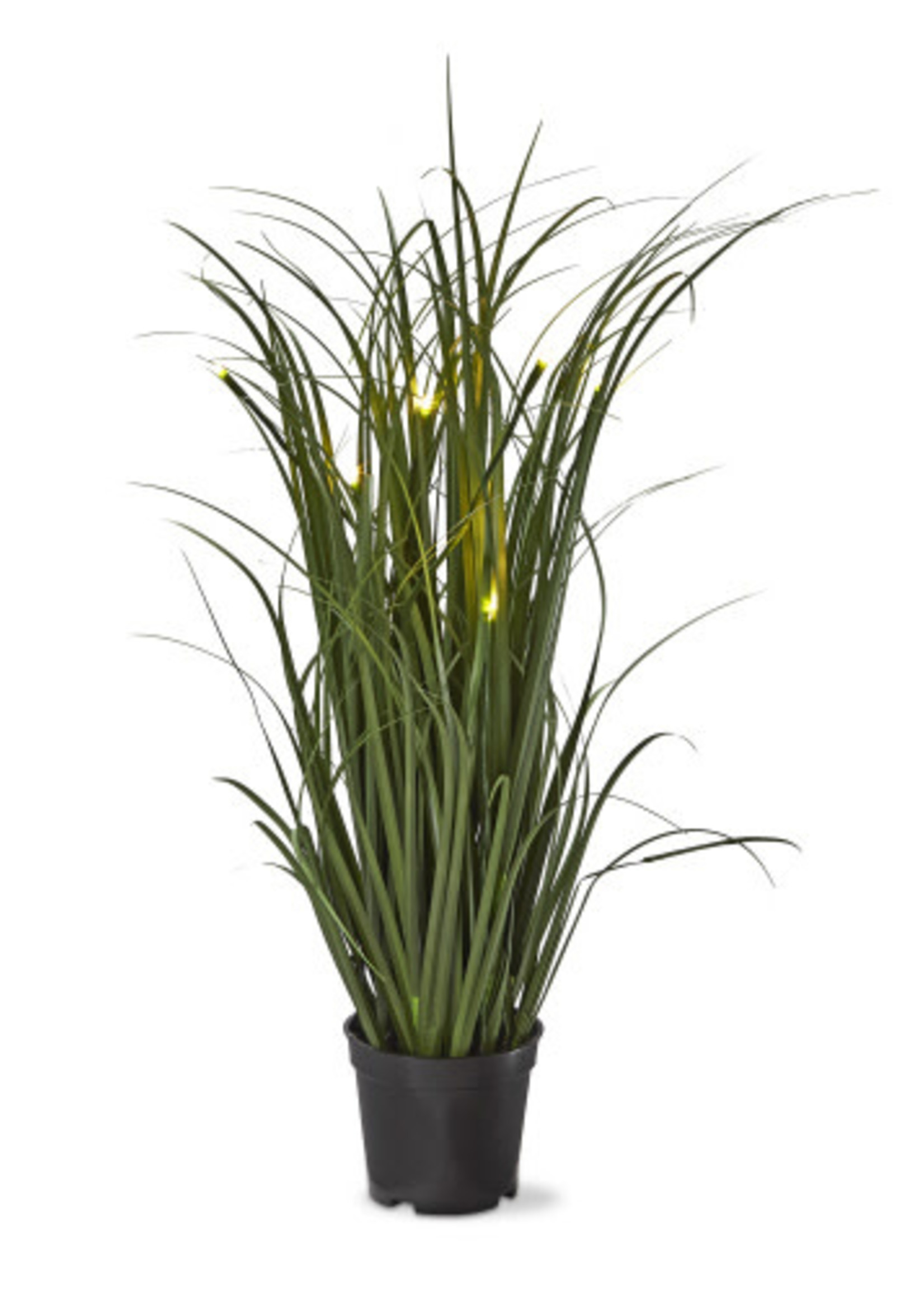 Tag *Green Potted Grass with LED Lights-Design Home