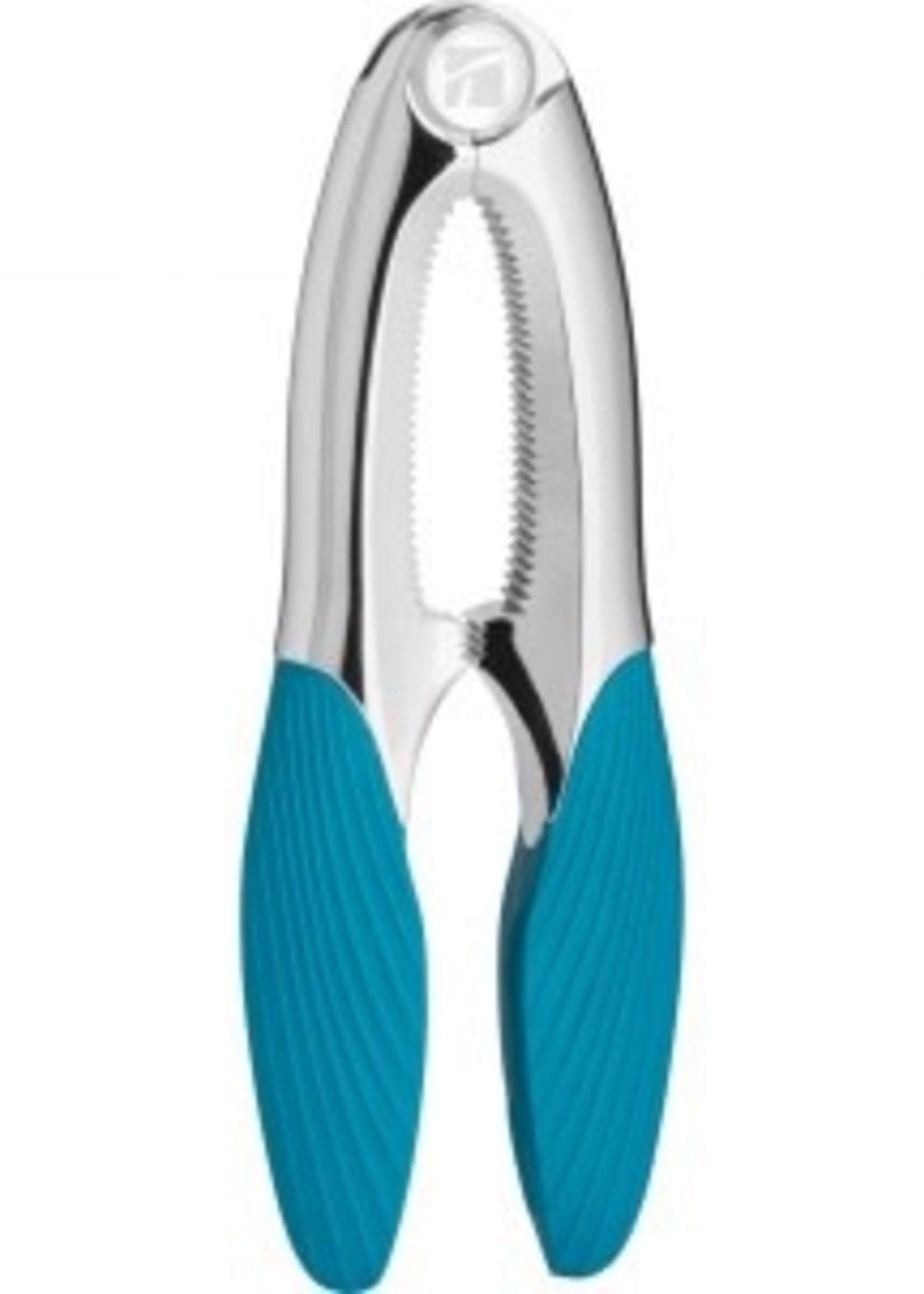 Trudeau *Turquoise Seafood Cracker-Trudeau