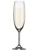David Shaw Tableware *s/4 Lara Champagne Flutes-David Shaw