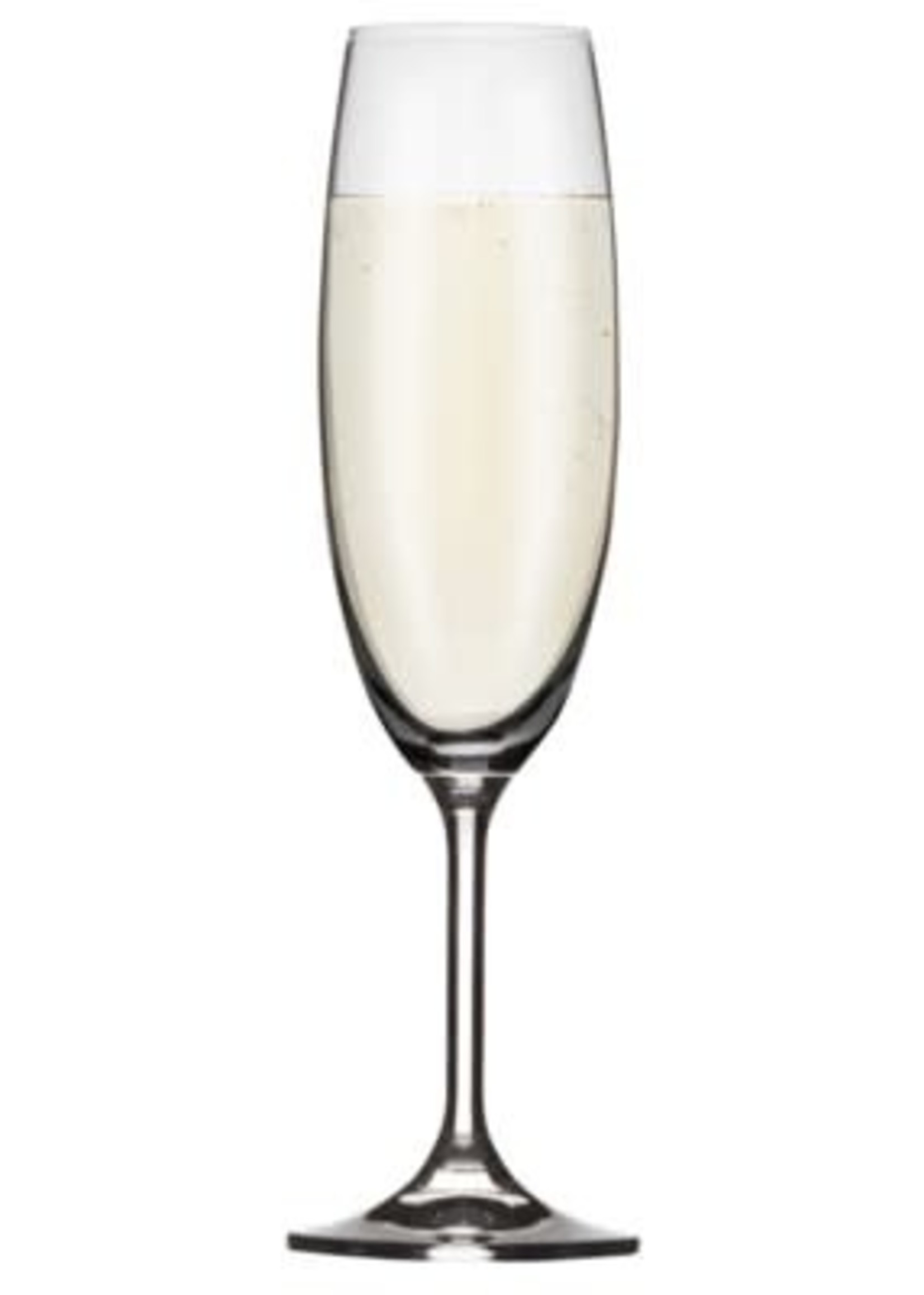 David Shaw Tableware *s/4 Lara Champagne Flutes-David Shaw