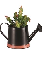 Rosemary & Time *Black Watering Can  Planter-CandyM
