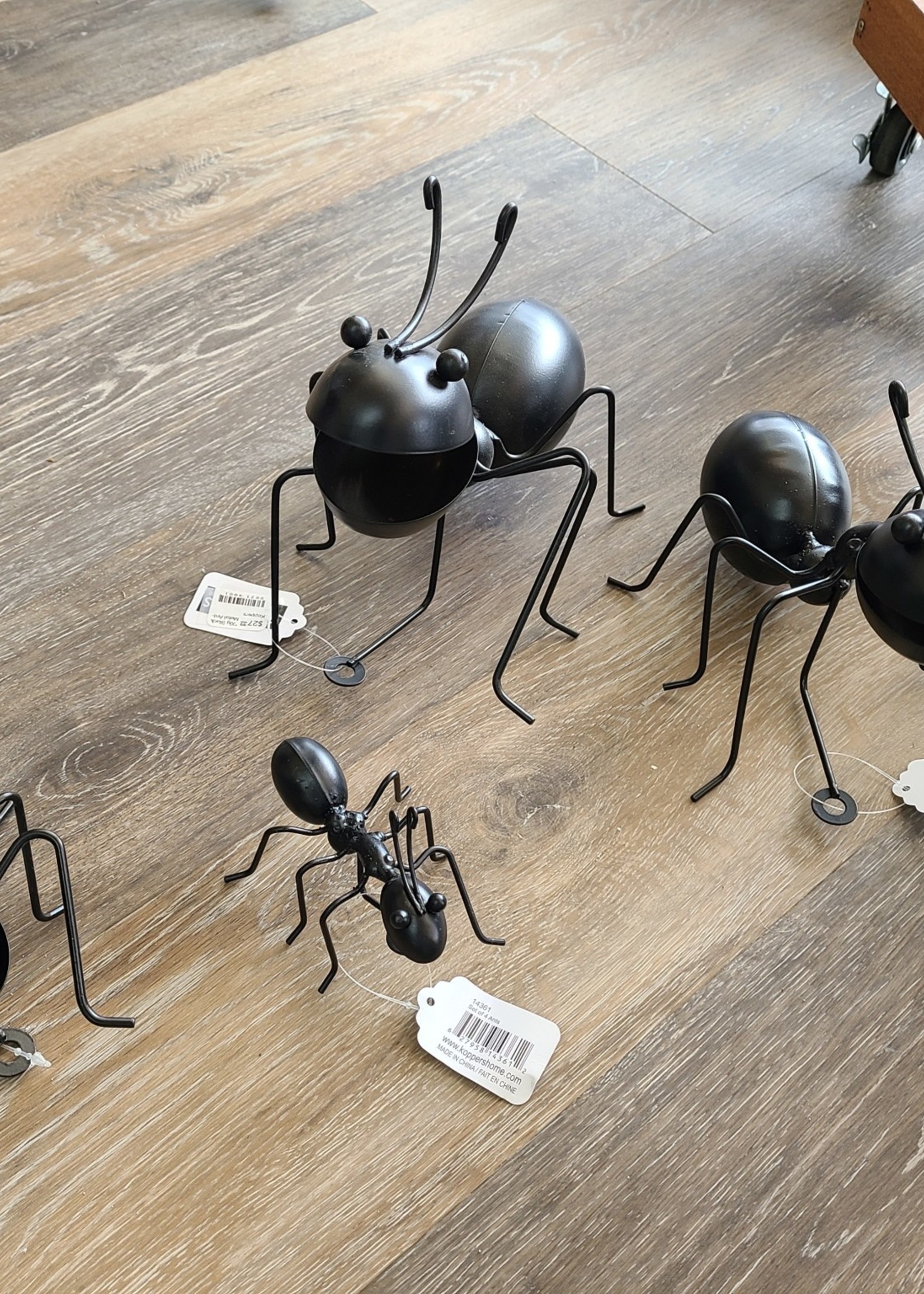 Frans Kopper *Lg Black Metal Ant-Koppers