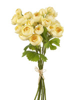 Raz *12.5" Yellow Ranunculus Bundle Raz-Design