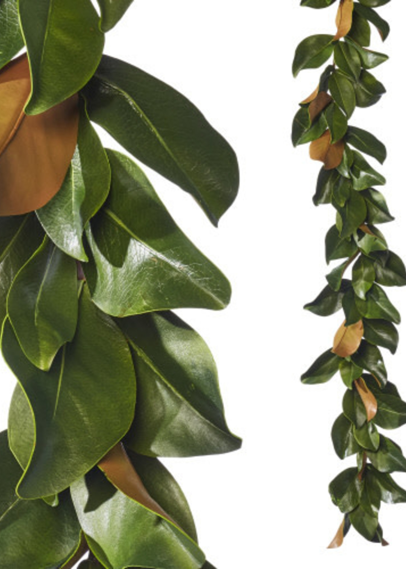 Raz *4.5' Magnolia Leaf Garland Raz-Design