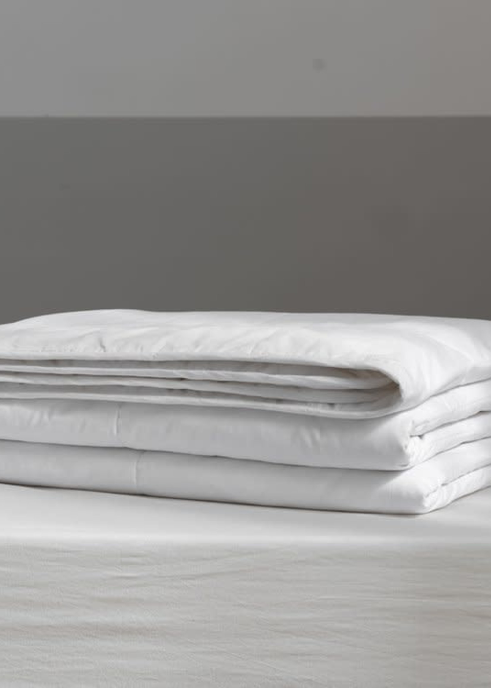 Twin Ducks *Twn Silk Duvet-Twin Ducks