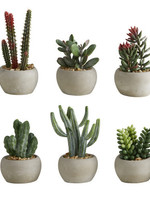 Creative Brands *Assorted Succulent Ceramic Pots Creative-Design