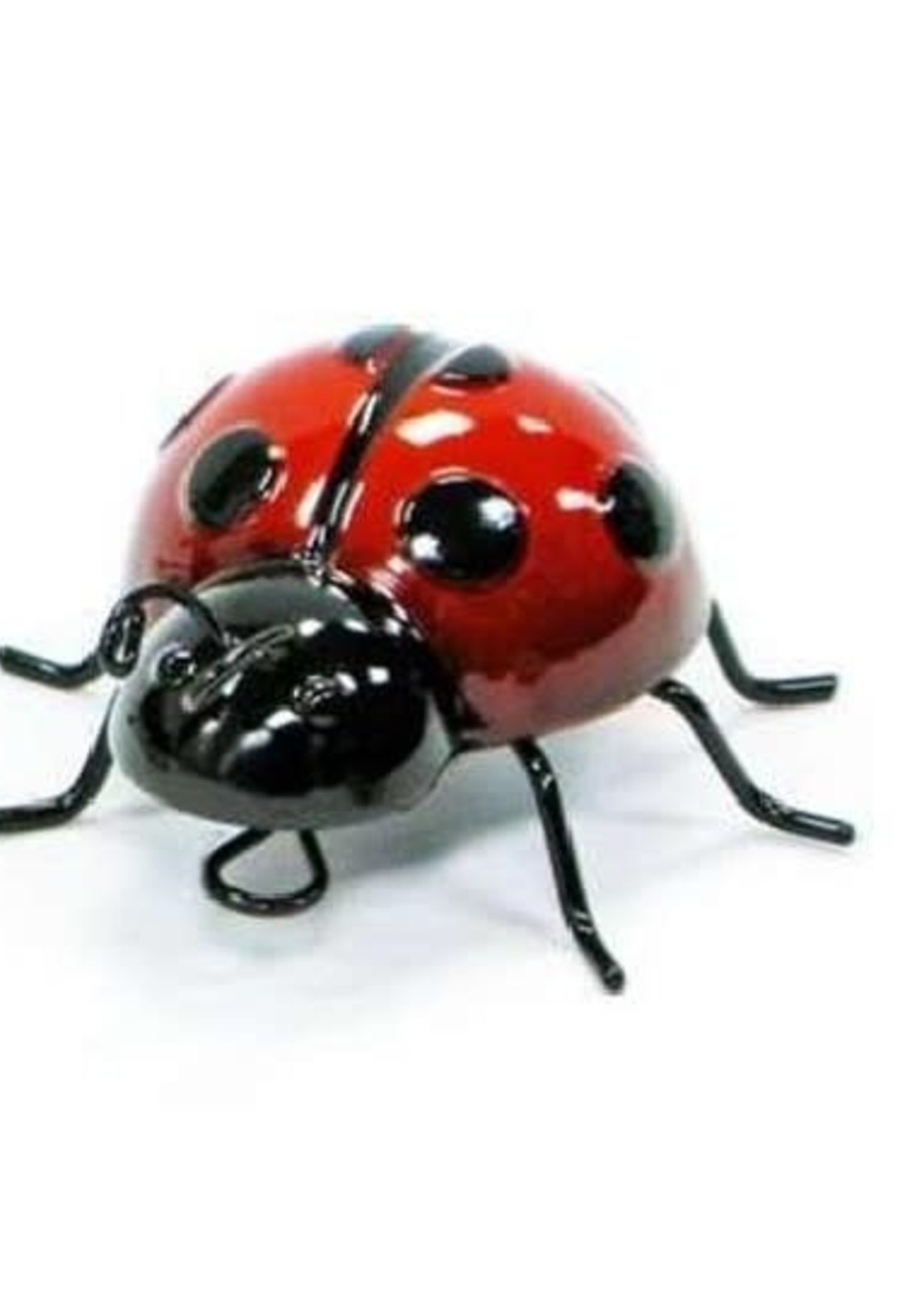 Splash *sm Red Metal Ladybug -Splash