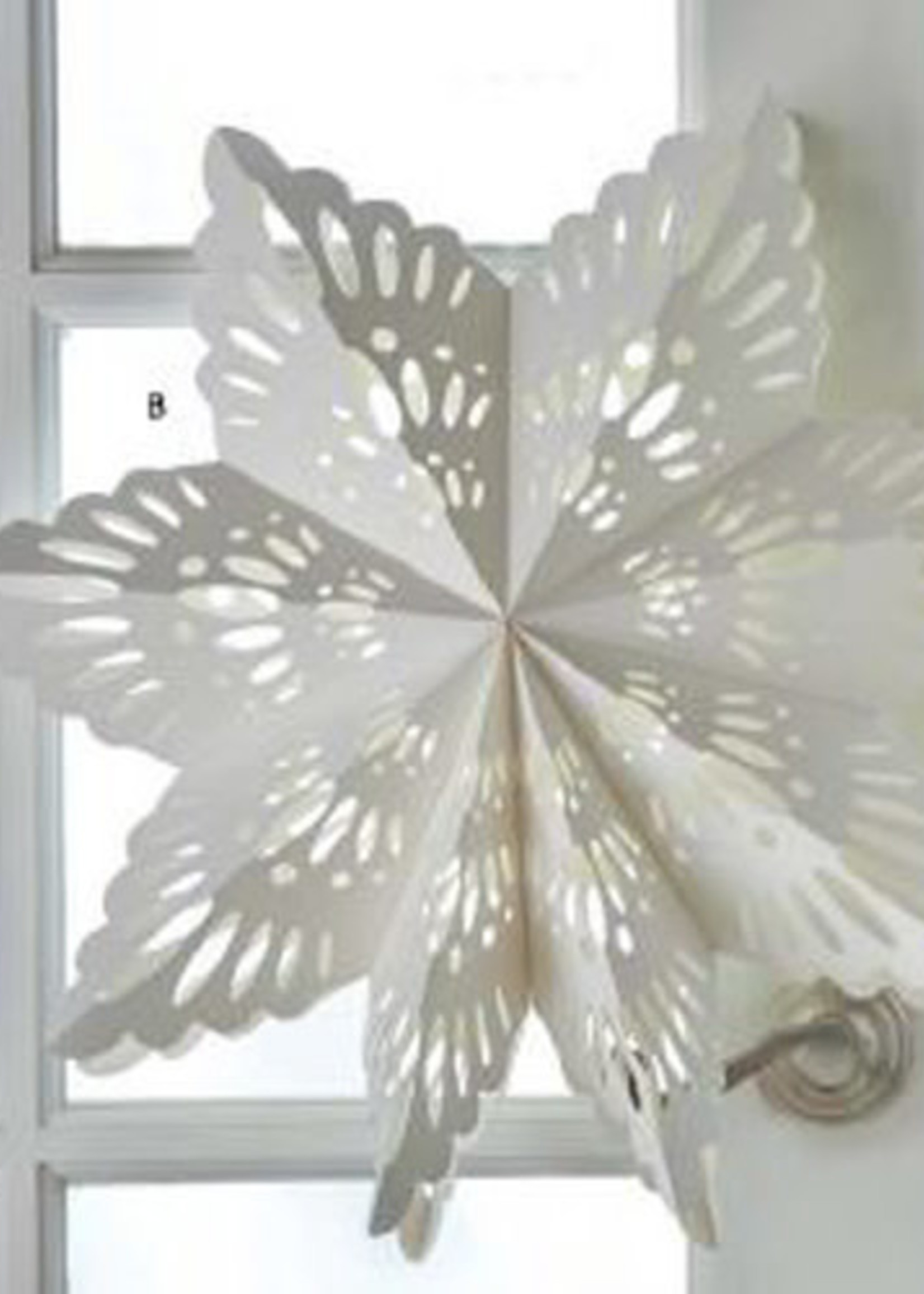 Tag *Large White Paper Hanging Snowflake Tag-Design*