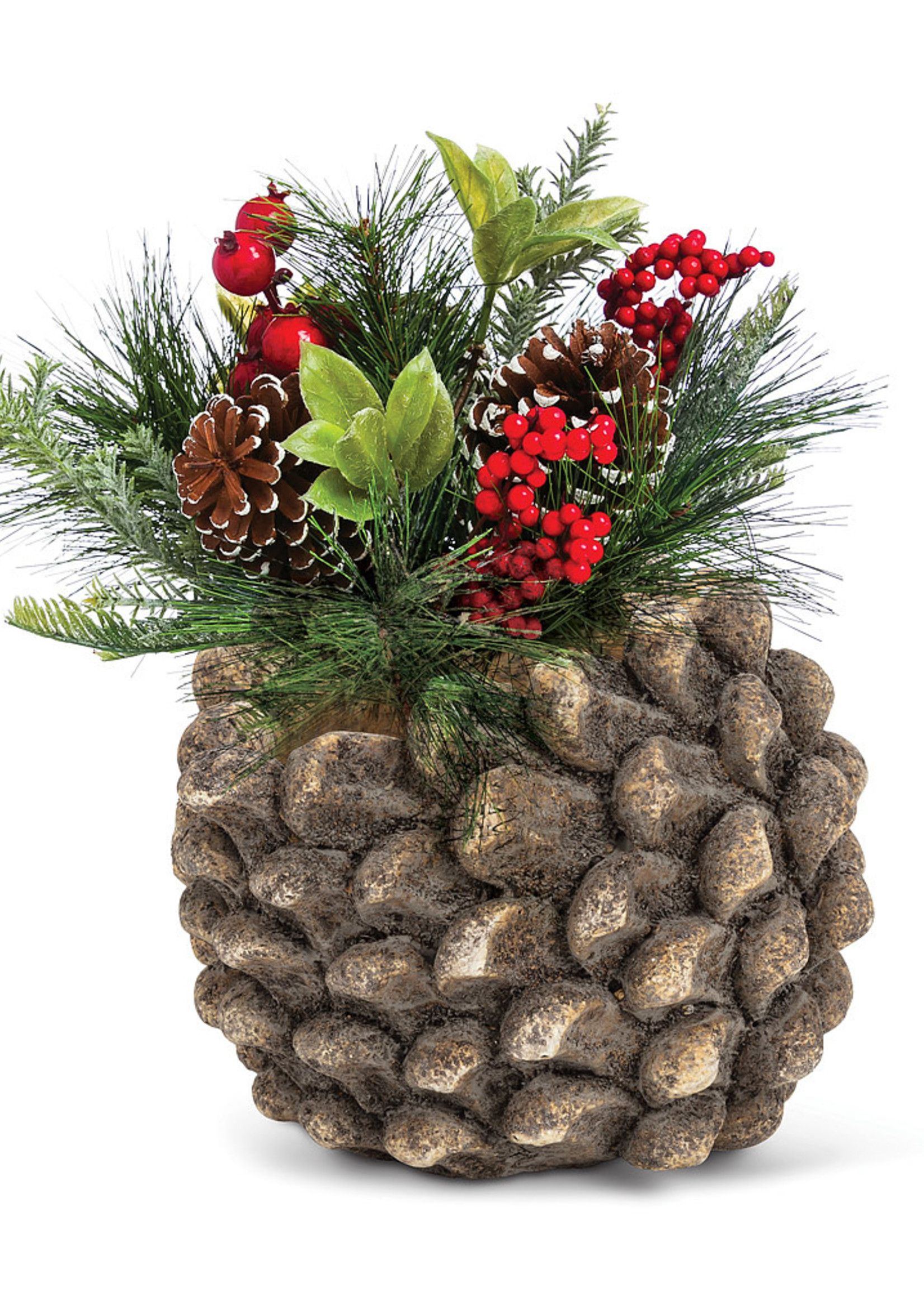 Abbott *sm Pinecone Planter-Abbott