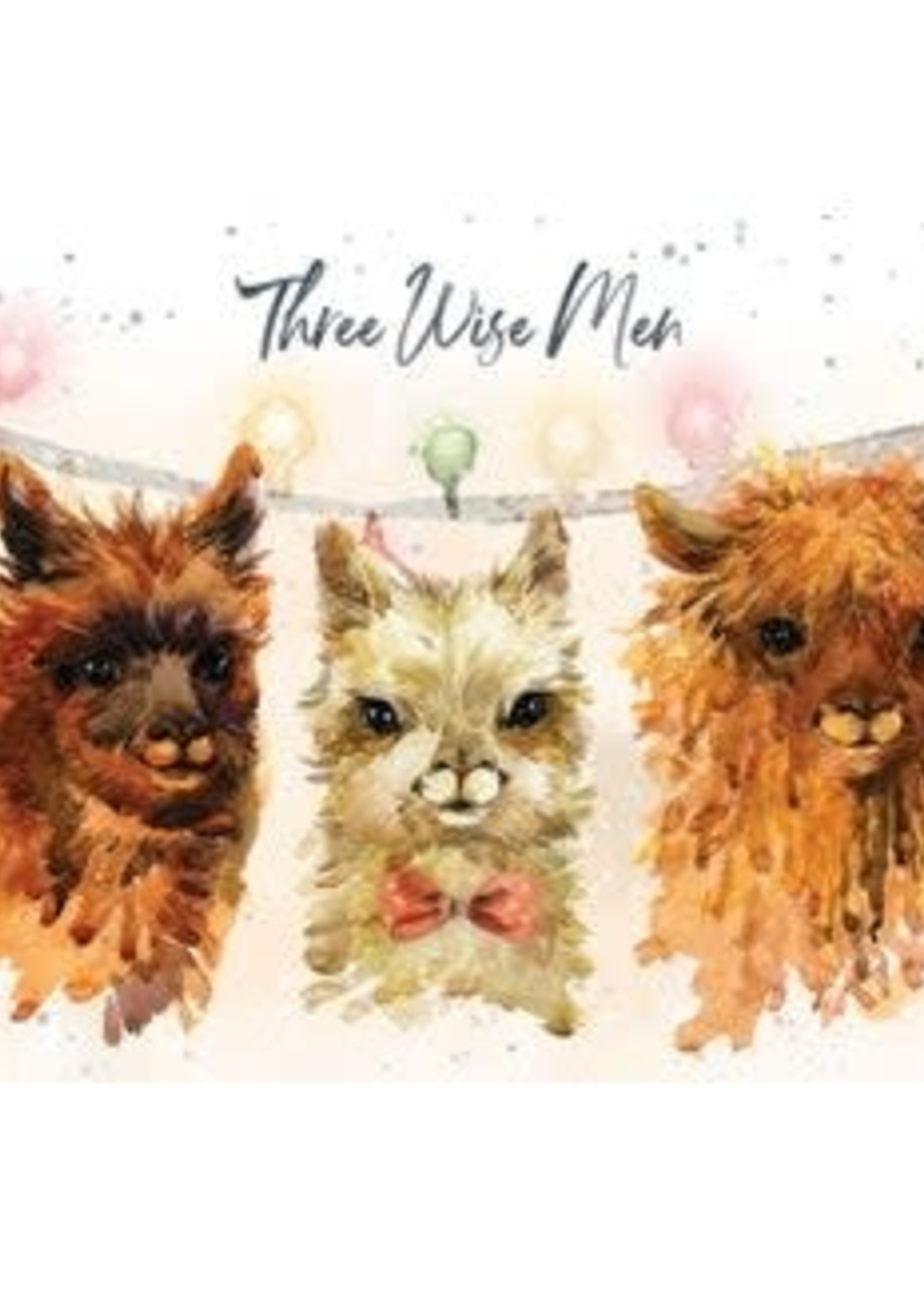 Hopper Studios *Three Wise Men Alpacas Christmas Card-Bella Flor