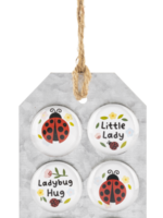 Ganz *Asstd Ladybug Magnets-Ganz
