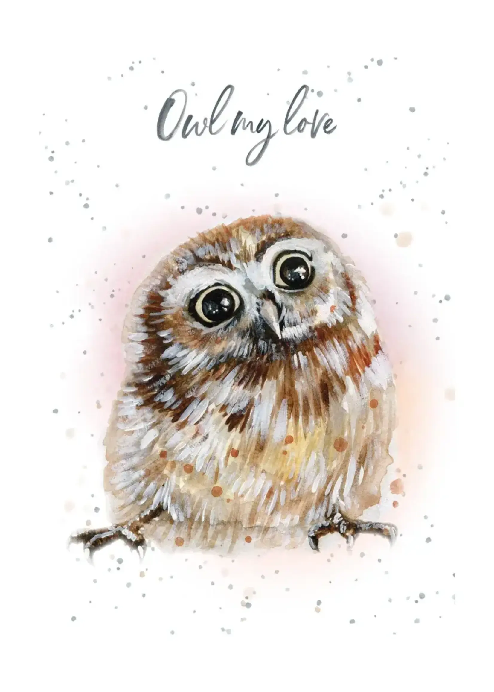 Bella Flor *Owl My Love Birthday Card-Bella Flor